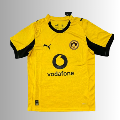 25-26 Dortmund Home Kit